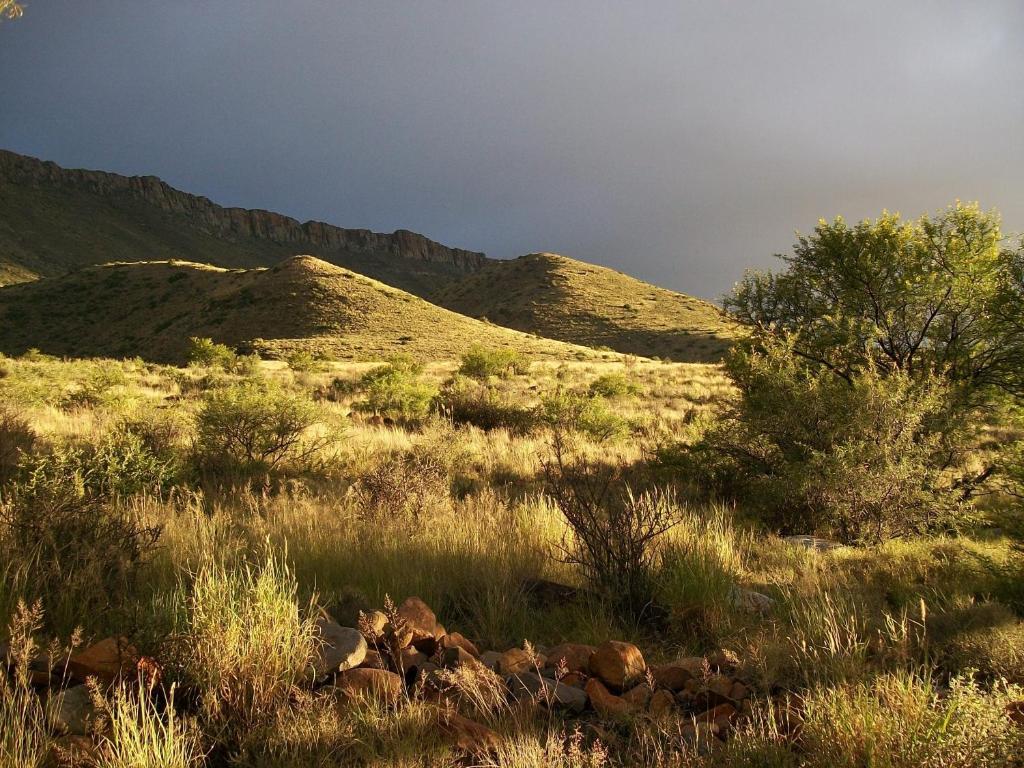 Lemoenfontein Konuk evi Beaufort West Dış mekan fotoğraf